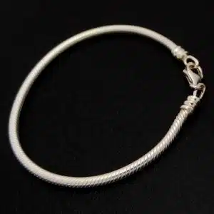 Silver Snake Chain Bracelet