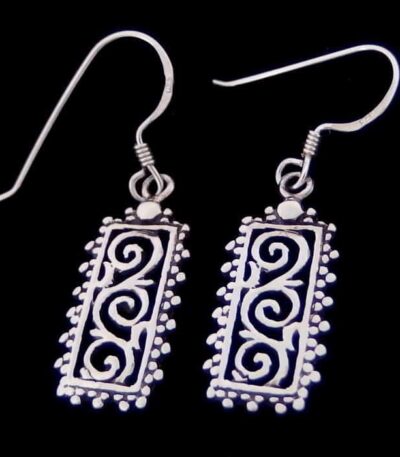 NZ inspired earrings