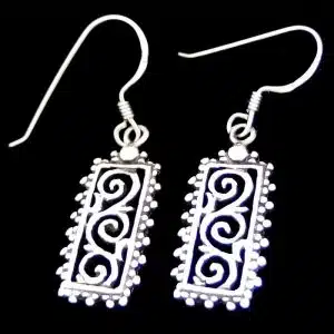 NZ inspired earrings