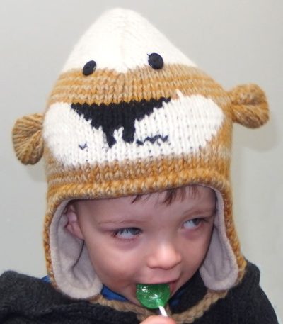 Wool bear hat NZ