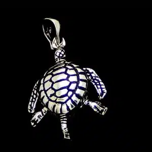 Silver turtle necklace
