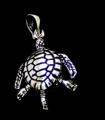 Silver turtle necklace