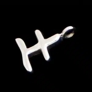 Chinese zodiac earth necklace