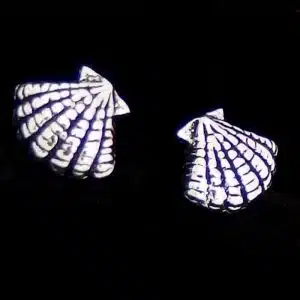 Sterling silver shell earrings