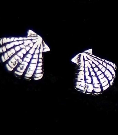 Sterling silver shell earrings