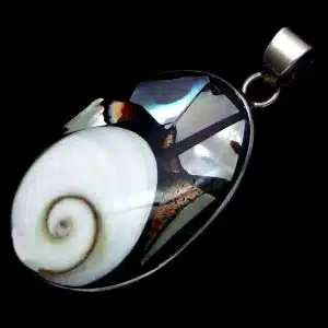 Big Shiva shell necklace
