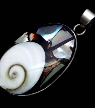 Big Shiva shell necklace