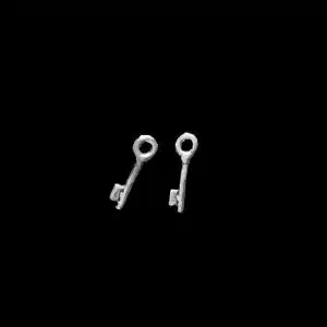 Cheap 21st earrings