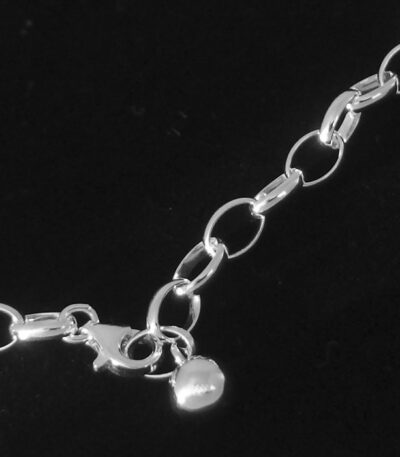 Long Rolo silver chain