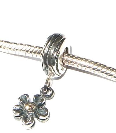 Pandora Style Bead