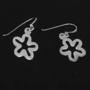 Silver dangle earrings small