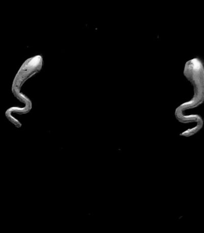 Silver snake stud earrings