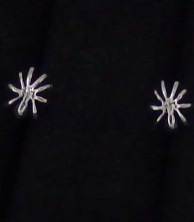 Silver Spider Stud earrings