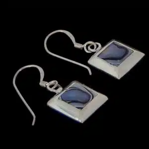 small paua earrings