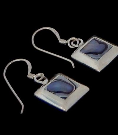 small paua earrings