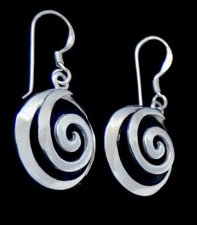 Black dangle earrings