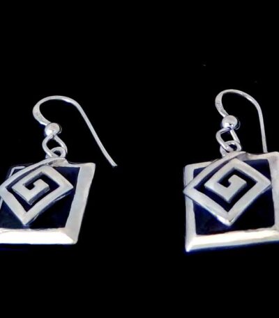 black dangle earrings