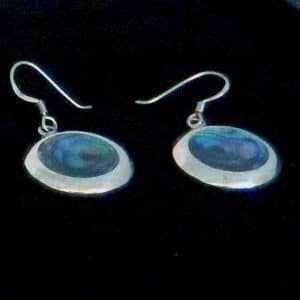 Paua silver earrings