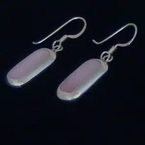 Shell silver earrings