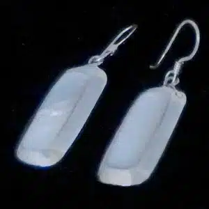 Shell silver earrings