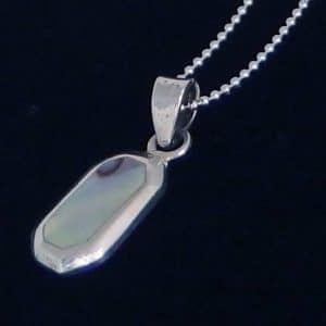 Abalone shell silver necklace NZ
