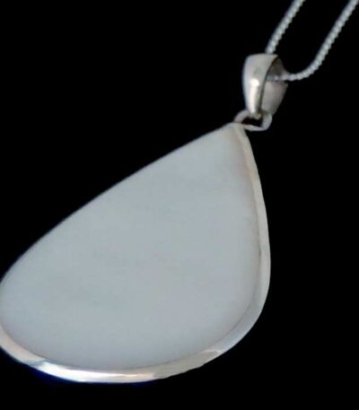 Statement Large Shell Necklace