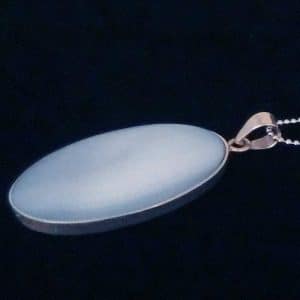 Statement Large Shell Necklace