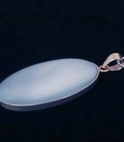 Statement Large Shell Necklace