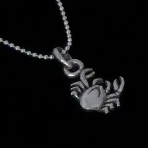 Zodiac cancer sign necklace