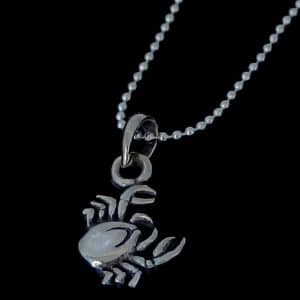 Zodiac cancer sign necklace