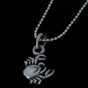 Zodiac cancer sign necklace