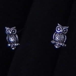 Silver wisdom bird stud earrings