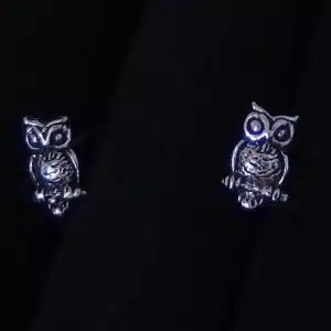 Silver wisdom bird stud earrings