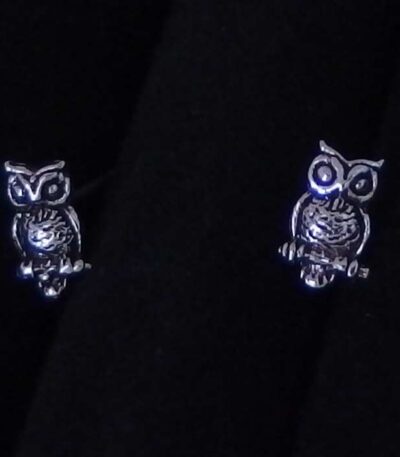 Silver wisdom bird stud earrings