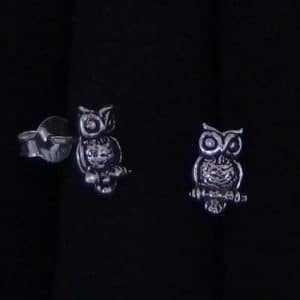 Silver wisdom bird stud earrings