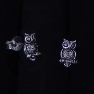 Silver wisdom bird stud earrings