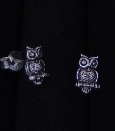 Silver wisdom bird stud earrings