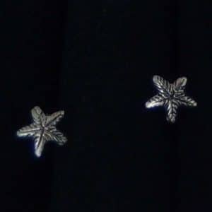 Starfish Stud earrings