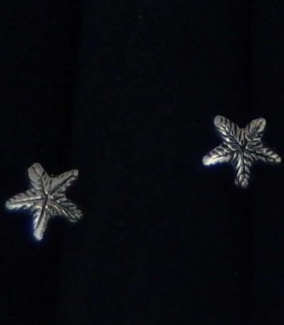 Starfish Stud earrings