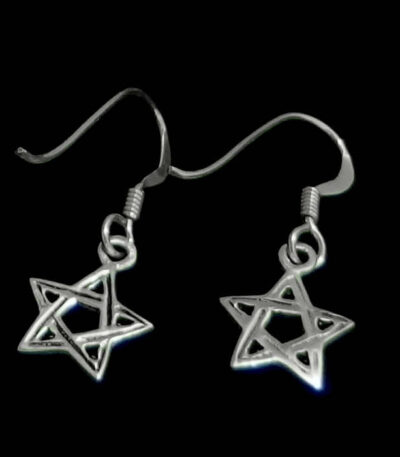 Small star dangle earrings